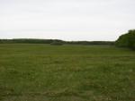 field