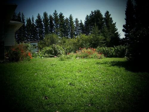 yard