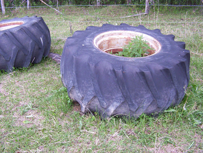 tires